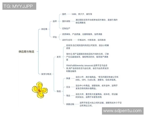 无货源跨境电商模式解析及成功运作技巧分享