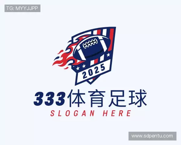 介绍333体育