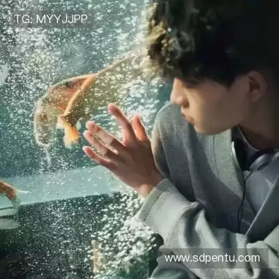 蓬盈晓