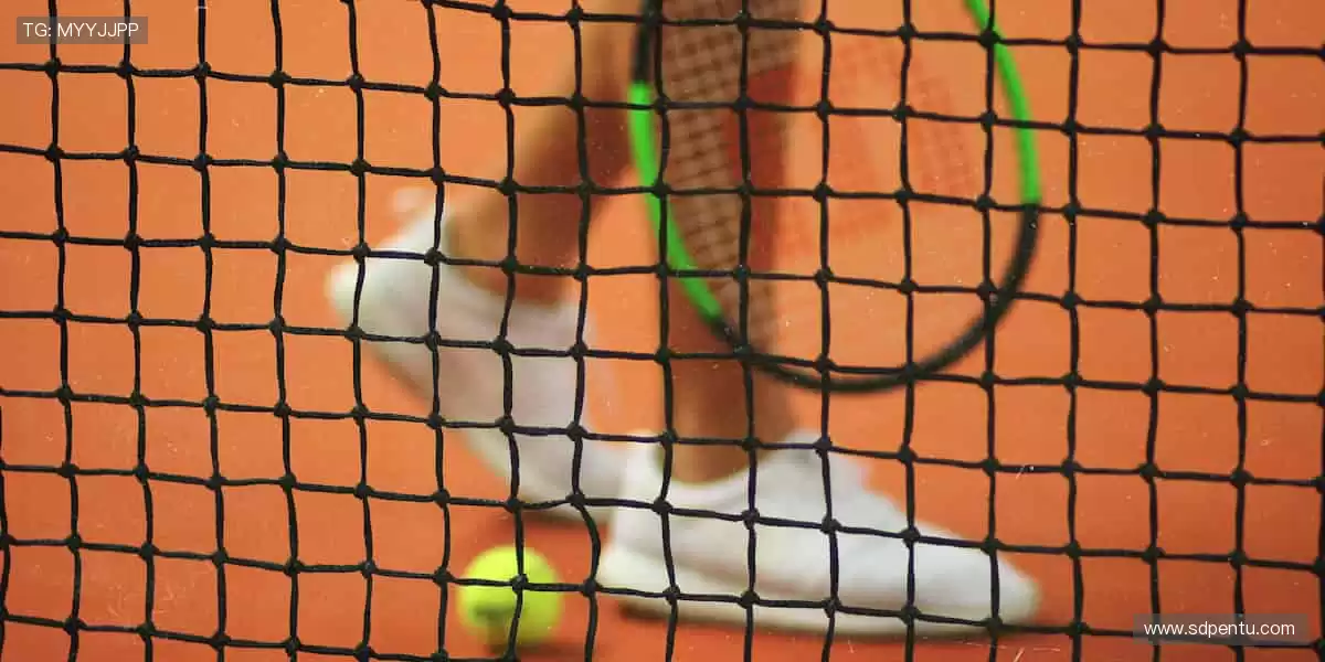 💻指尖滑动,实时掌控赛场风云!📡